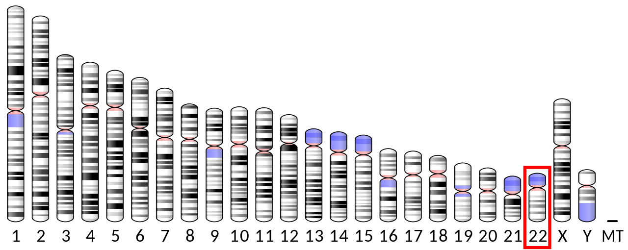 PMSF Chromosomes